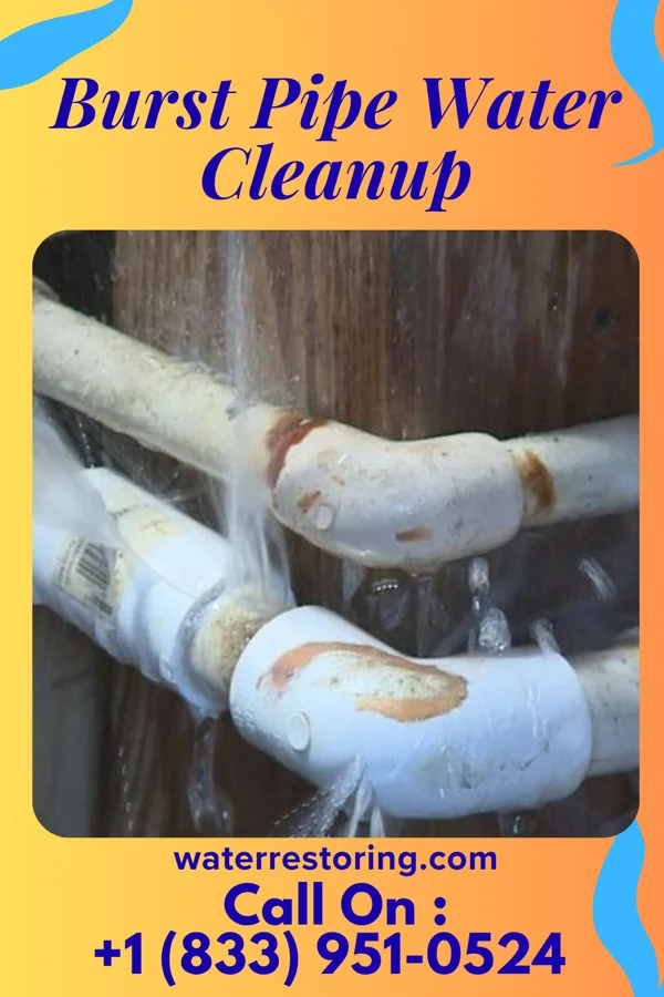 Burst Pipe Water Cleanup in Woodlawn, MD