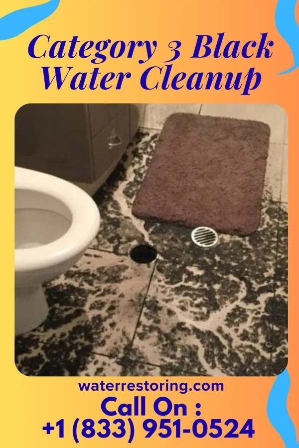 Category 3 Black Water Cleanup in Woodlawn, MD