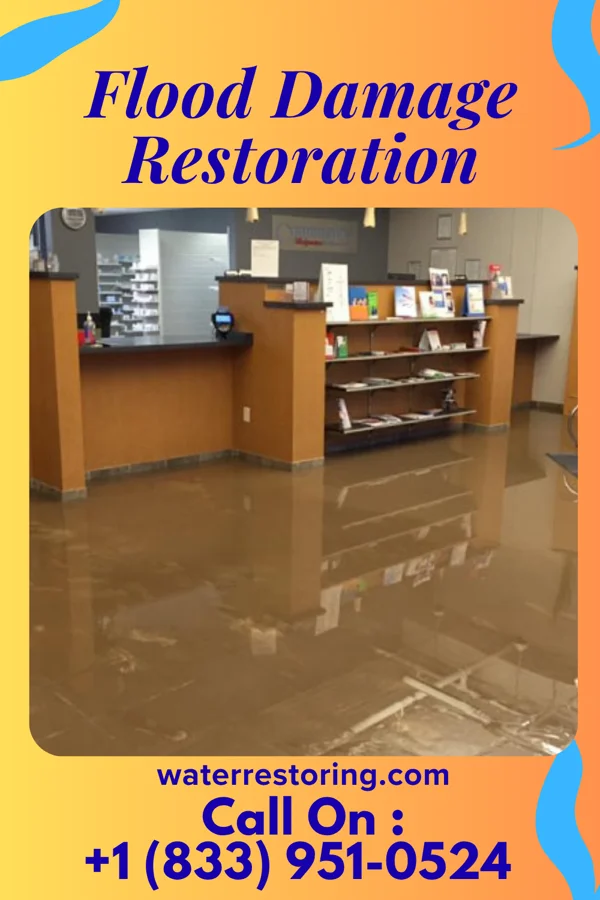 Flood Damage Restoration in Woodlawn, MD