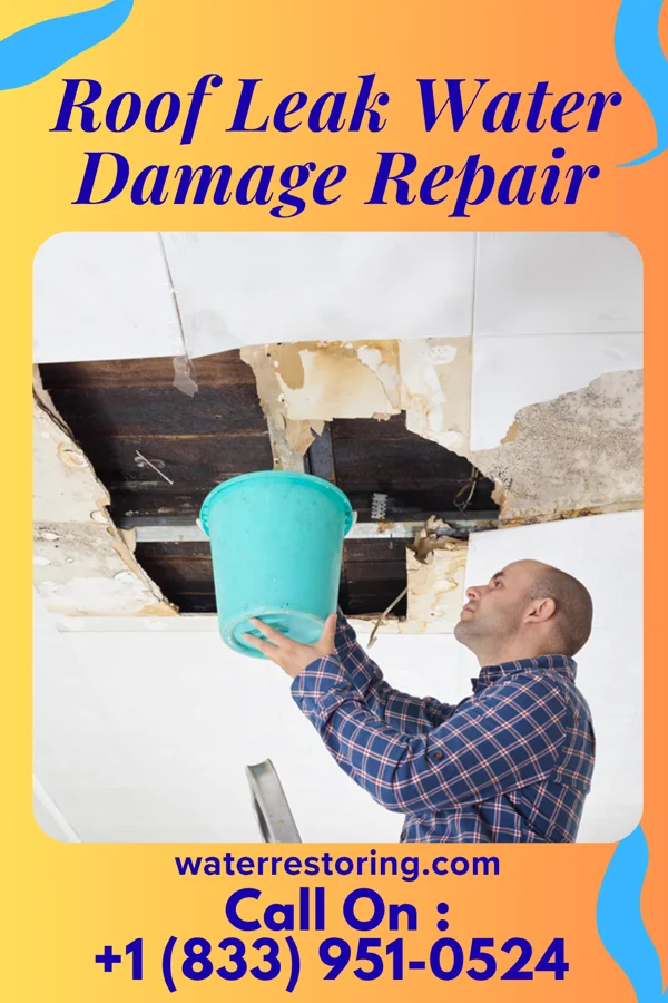 Roof Leak Water Damage Repair in Woodlawn, MD