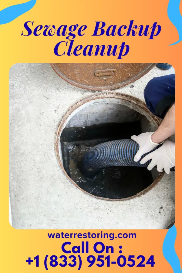Sewage Backup Cleanup in Woodlawn, MD