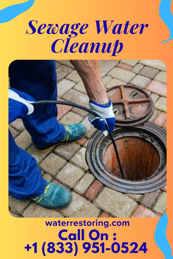 Sewage Water Cleanup in Woodlawn, MD