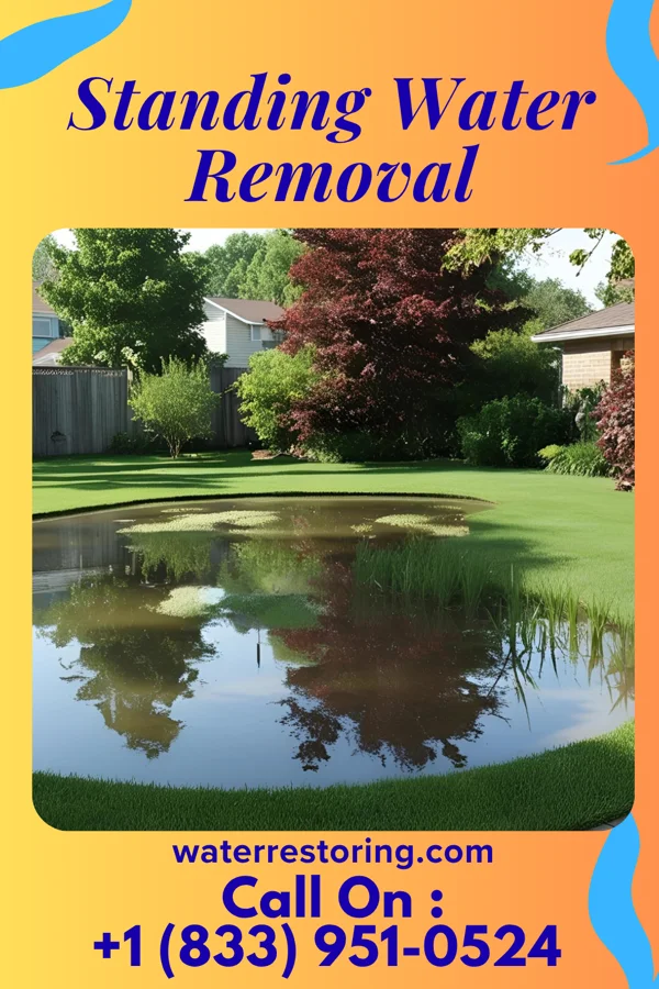 Standing Water Removal in Woodlawn, MD